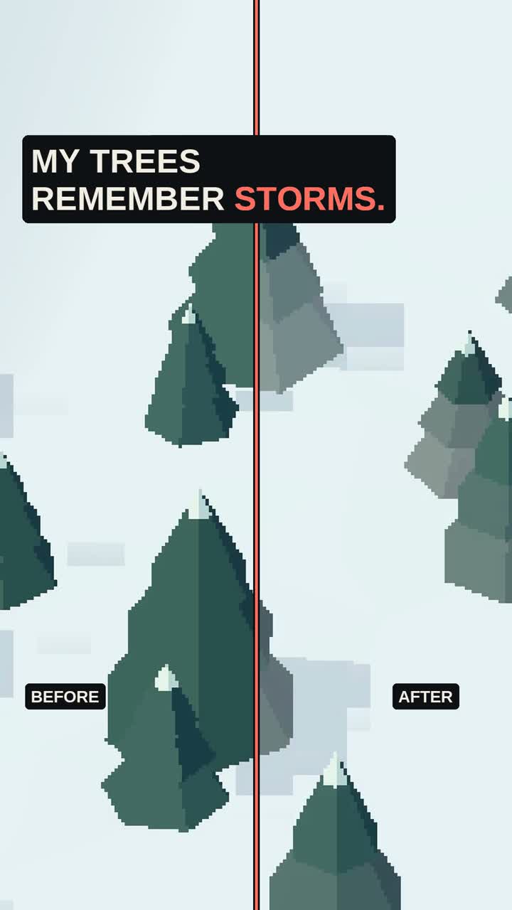 After the storm
